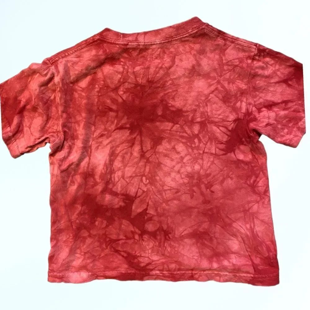 Kids The Mountain (S) Tyrannosaurus Rex Graphic T-Shirt